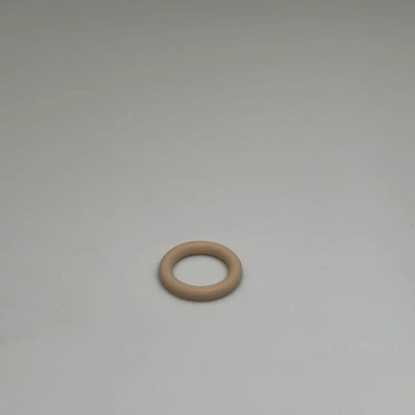 O-Rings(4) for Endcap Assembly for PinAA